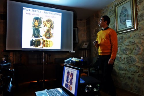 Radio Valdivielso